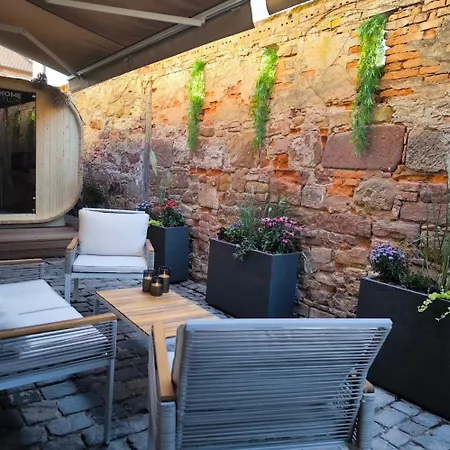 - Balneo Privative Et Sauna Appartement Wissembourg